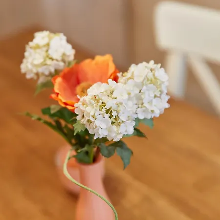 Σπίτι διακοπών Altstadt Bernkastel-Kues