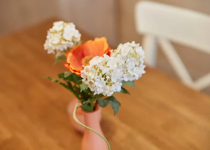 Hébergement de vacances Altstadt Commune fusionnée de Bernkastel-Kues